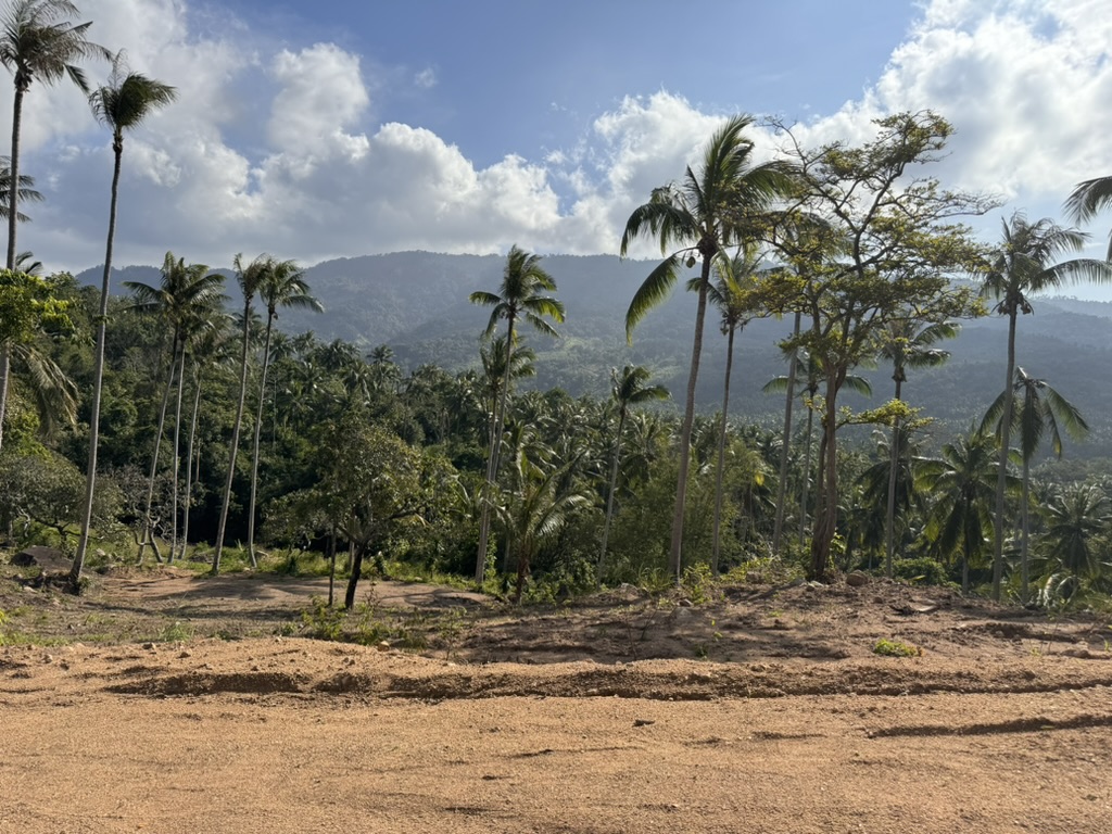 Land on Koh Samui